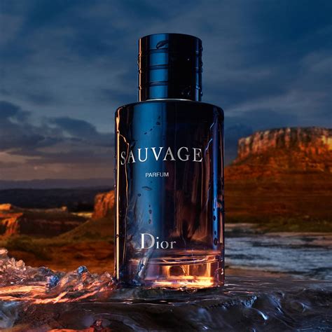 sauvage dior perfume|Dior Sauvage cheapest price 100ml.